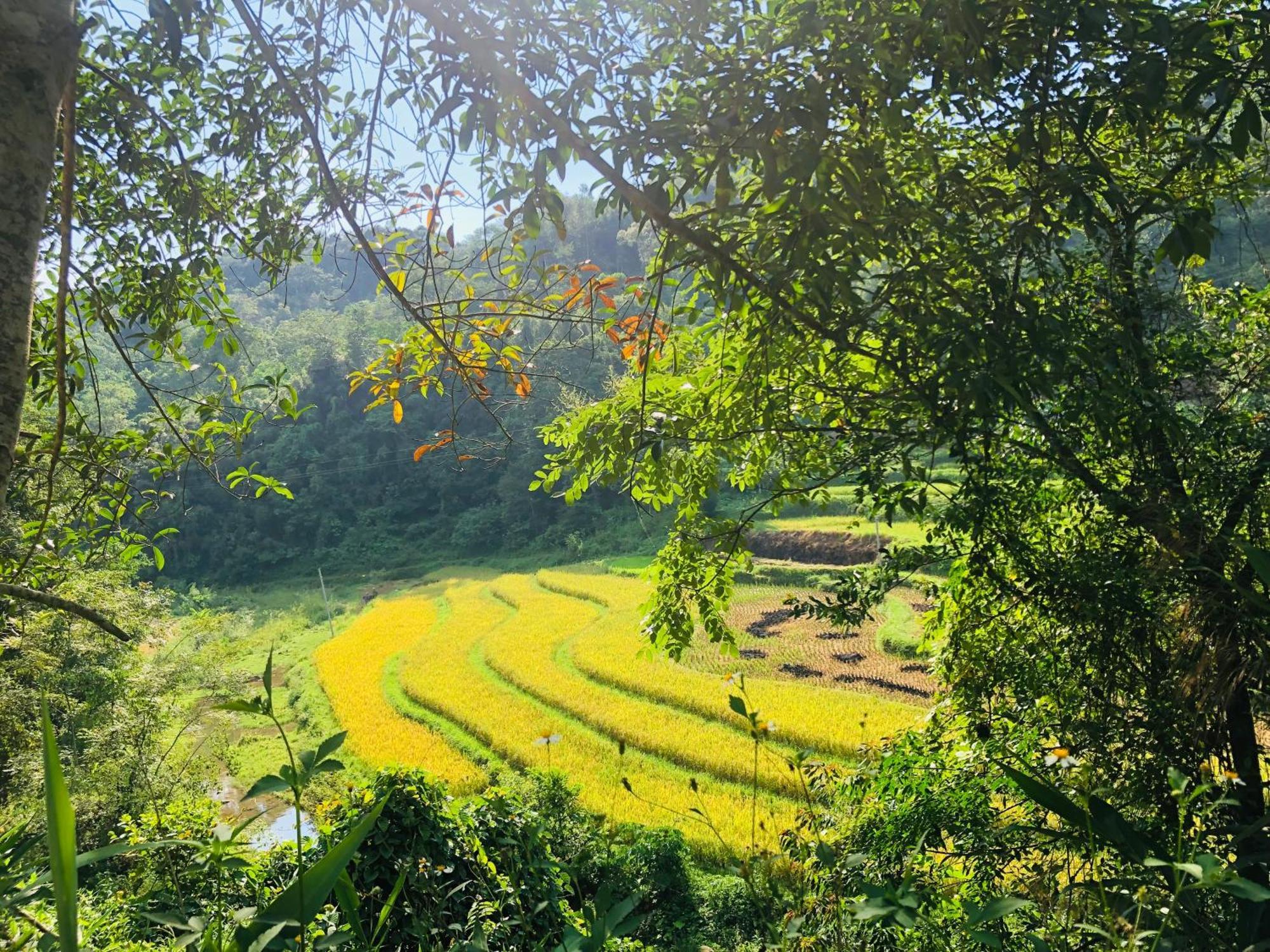 Duong Cong Chich Homestay Lang Son Ngoại thất bức ảnh